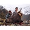 Image 3 : SOUTH PACIFIC SAFARIS - NEW ZEALAND | Red Stag