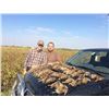Image 3 : ROMANIA HUNTING OUTFITTERS | HIGH VOLUME EUROPEAN QUAIL HUNTING | Three Hunters and Three Non-hunter