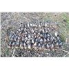 Image 4 : ROMANIA HUNTING OUTFITTERS | HIGH VOLUME EUROPEAN QUAIL HUNTING | Three Hunters and Three Non-hunter