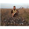 Image 6 : ROMANIA HUNTING OUTFITTERS | HIGH VOLUME EUROPEAN QUAIL HUNTING | Three Hunters and Three Non-hunter