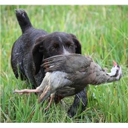 PINEHILL SPORTSMAN’S CLUB - Belding, MI | Guided Pheasant Hunt & Three Memberships