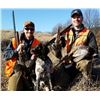 Image 4 : PINEHILL SPORTSMAN’S CLUB - Belding, MI | Guided Pheasant Hunt & Three Memberships