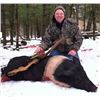 Image 4 : HIDDEN HORNS GAME RANCH - Howard City, MI | Arctic Hogs For 4 Hunters
