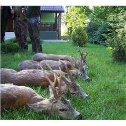 HUNTING IN POLAND | Four day and five nights