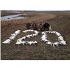 Image 1 : SNOW GOOSE HUNT - MARYSVILLE, MO | PRAIRIE WINGS OUTFITTERS