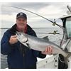 Image 5 : LAKE MICHIGAN FISHING CHARTER | 4 people with Powderhorn Sport Fishing