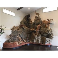 NABER’S TAXIDERMY - $1,000 GIFT CERTIFICATE (2x $500) | Custom Taxidermy Design