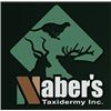 Image 2 : NABER’S TAXIDERMY - $1,000 GIFT CERTIFICATE (2x $500) | Custom Taxidermy Design