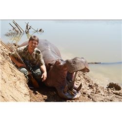 HIPPO IN ZAMBIA | Muchinga Adventures