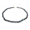 Image 1 : Akoya Black Pearl Ladies Hand Knotted Necklace With 53 Pearls With Hook Clasp