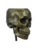 Image 10 : Signed American Artist Skeleton Head Bust Bone Halloween Decoration Gift Decor
