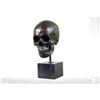 Image 3 : Signed American Artist Skeleton Head Bust Bone Halloween Decoration Gift Decor