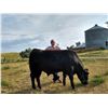Image 1 : Zanto, Conner - Market Beef