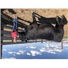 Image 1 : Hucke, Jetta - Market Beef