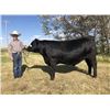 Image 1 : Hucke, Arrow - Market Beef