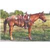 Image 1 : Roany, 2013 QH Red Roan Gelding,  15:0.