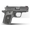 Image 1 : Springfield Armory 911 Nitride 380 ACP Pistol