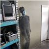 Image 1 : CHICKEN MESH MAN