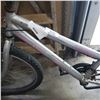 Image 2 : GREY OZARK TRAIL BIKE