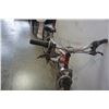 Image 2 : GREY AND RED ARASHI BIKE