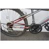 Image 2 : GREY TECH TEAM BIKE