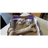 Image 2 : 2 GOAT SKULLS, LARGE SKULL AND BONE