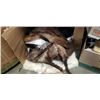 Image 2 : LOT OF FUR COATS, SHAWLS, AND VINTAGE HATS