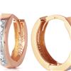 Image 1 : Genuine 0.04 ctw Diamond Anniversary Earrings 14KT Rose Gold - REF-45H8X