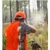 Image 2 : 2-day/3-night Florida Bobwhite Quail hunt at the Gilchrist Club for Two Hunters