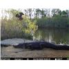 Image 3 : Florida Hunt Experience with Nick Hoffman