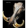 Image 2 : Custom Game Skull Carving from Skulls Millworks