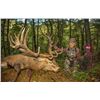 Image 1 : Hunt with Pat & Nicole Reeve of Driven TV in New Zealand