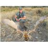 Image 2 : 4-day Spanish Hunt for Choice of One Species for One Hunter