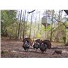 Image 1 : Turkey Hunt with One of the Actual Army Special Forces Member Portrayed in the Movie 12 Strong