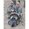 Image 2 : 3-day Colorado Merriam's Turkey Hunt with Special Guests Laird Hamberlin and Warren Sackman