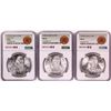 Image 1 : Lot of 1977-1979 Mexico 100 Pesos Silver Coins NGC MS66