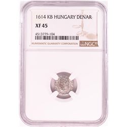 1614 KB Hungary Denar 'Madonna and Child' Coin NGC XF45