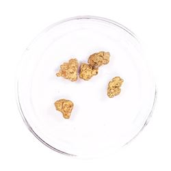 Lot of Gold Nuggets 3.07 Grams Gold Weight