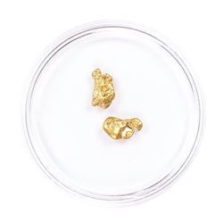 Lot of Gold Nuggets 2.21 Grams Gold Weight