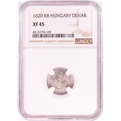 1620 KB Hungary Denar 'Madonna and Child' Coin NGC XF45