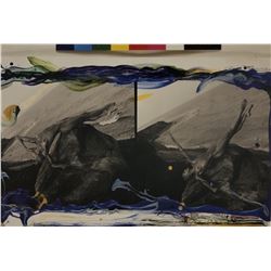 Peter Beard - Driftwood Cove, 2000