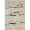 Image 1 : Henry Moore - Lithograph (Hand Signed)