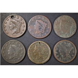 LOT OF 6 MIXED DATE LARGE CENTS
