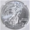 Image 2 : 2012 AMERICAN SILVER EAGLE  NGC MS-69