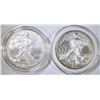 Image 1 : 2007 & 2009 AMERICAN SILVER EAGLES