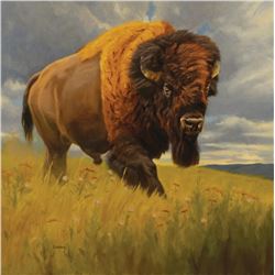 Sally Vannoy - Eye of the Bison