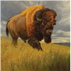 Image 1 : Sally Vannoy - Eye of the Bison