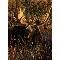 Terry Lee - In the Thicket