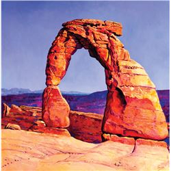 Araceli Selytin - Delicate Arch