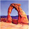 Image 1 : Araceli Selytin - Delicate Arch